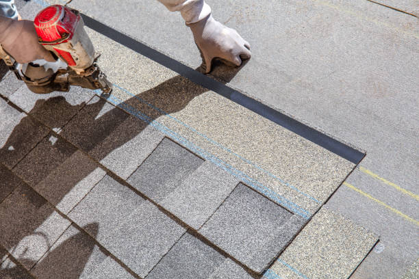Best Roof Leak Repair  in Roscoe, TX